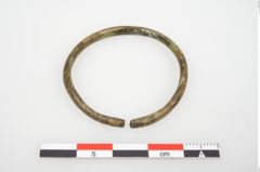 Foto von Bronzering (NHMW-PRAE-026628)